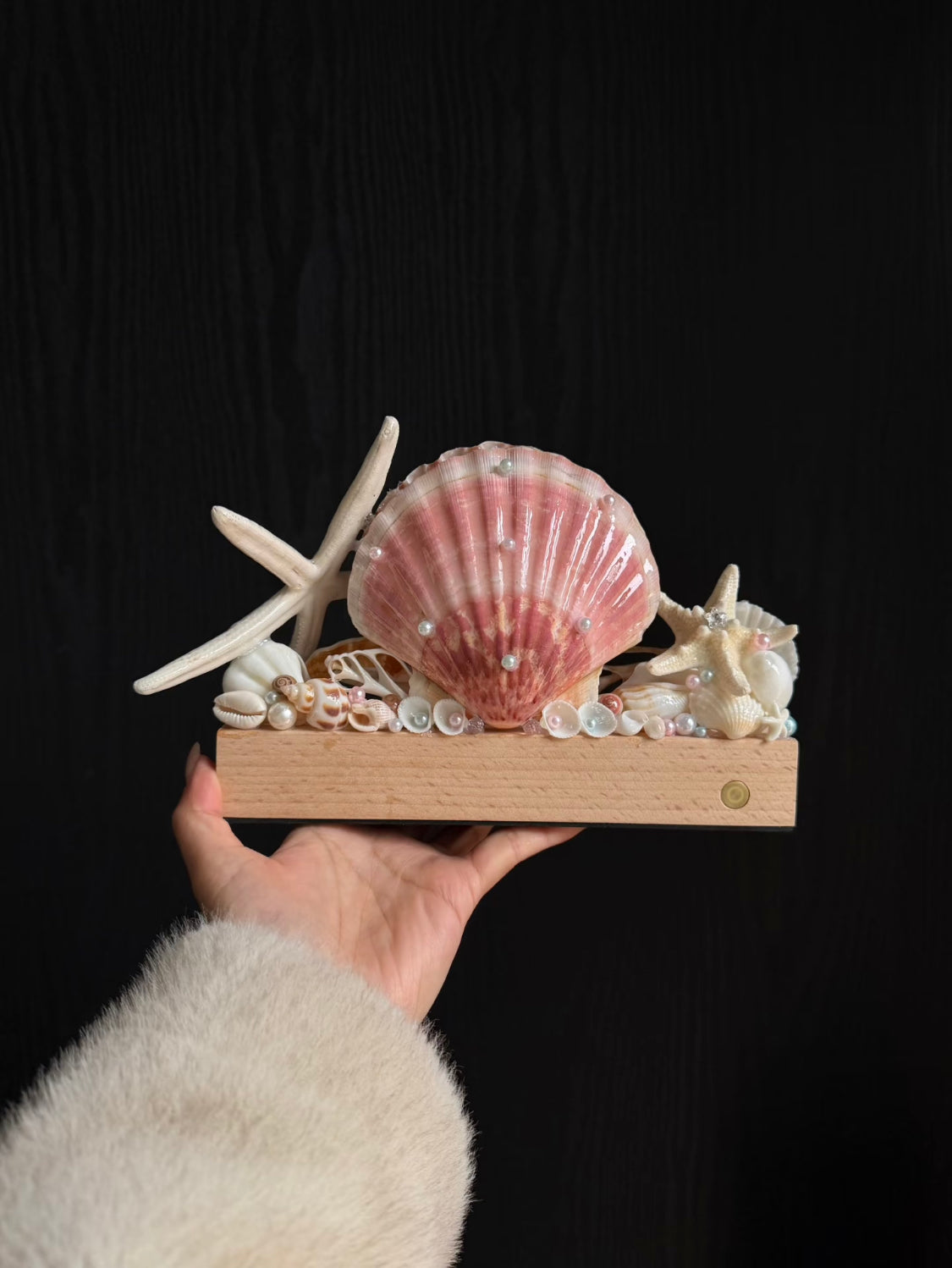 Pink Tide Seashell Night Light | Handmade Coastal Table Lamp
