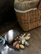 Salin Seed & Mixed Shell Bag Charm