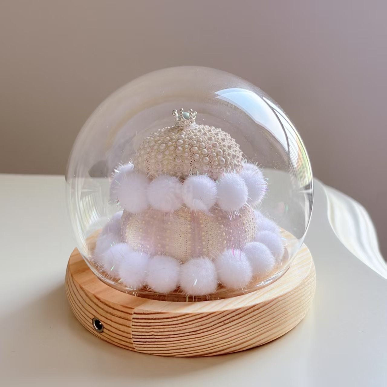 Handcrafted Natural Sea Urchin Shell Night Lights