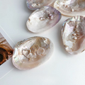 Natural Seashell Trinket Tray with Pearls