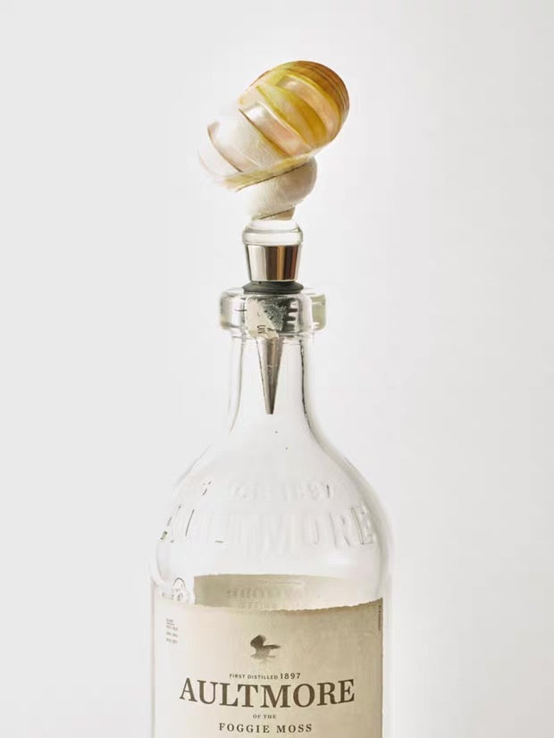 Natural Seashell Wine Stopper