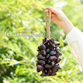 Juju Seed Shell Hand Bell – Deep Resonance