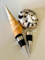 Natural Seashell Wine Stopper