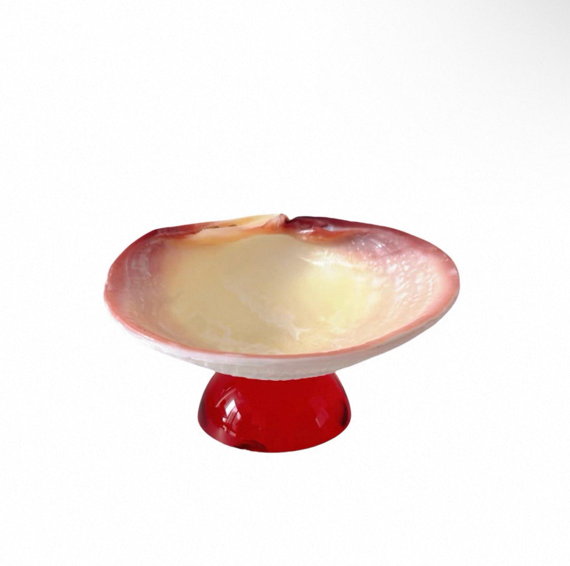 Natural Seashell Goblet ＆ Candle Holder