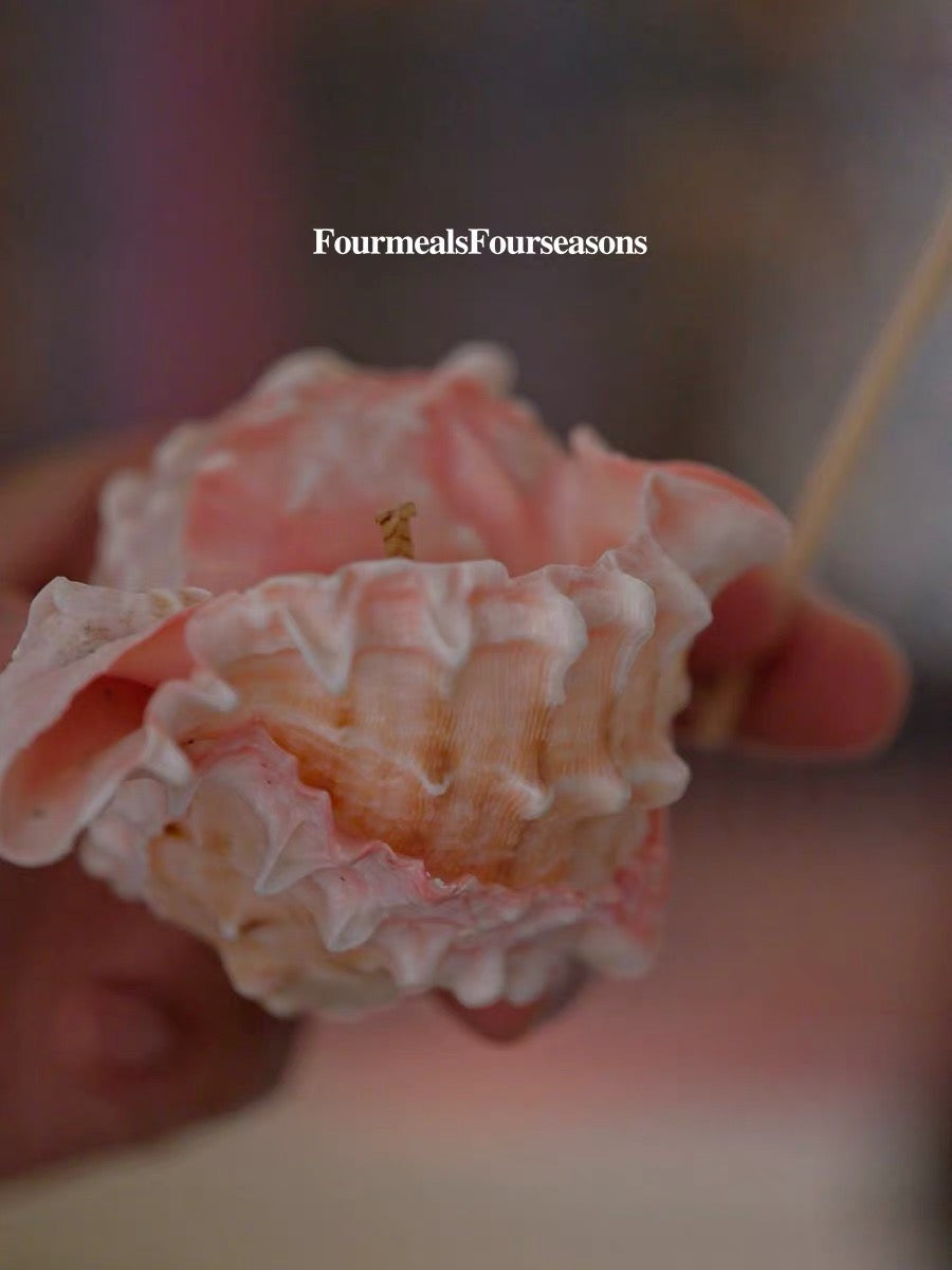 Blush Tide Shell Candle
