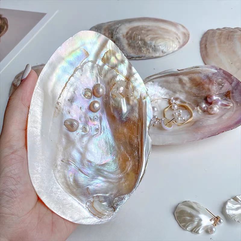 Natural Seashell Trinket Tray with Pearls