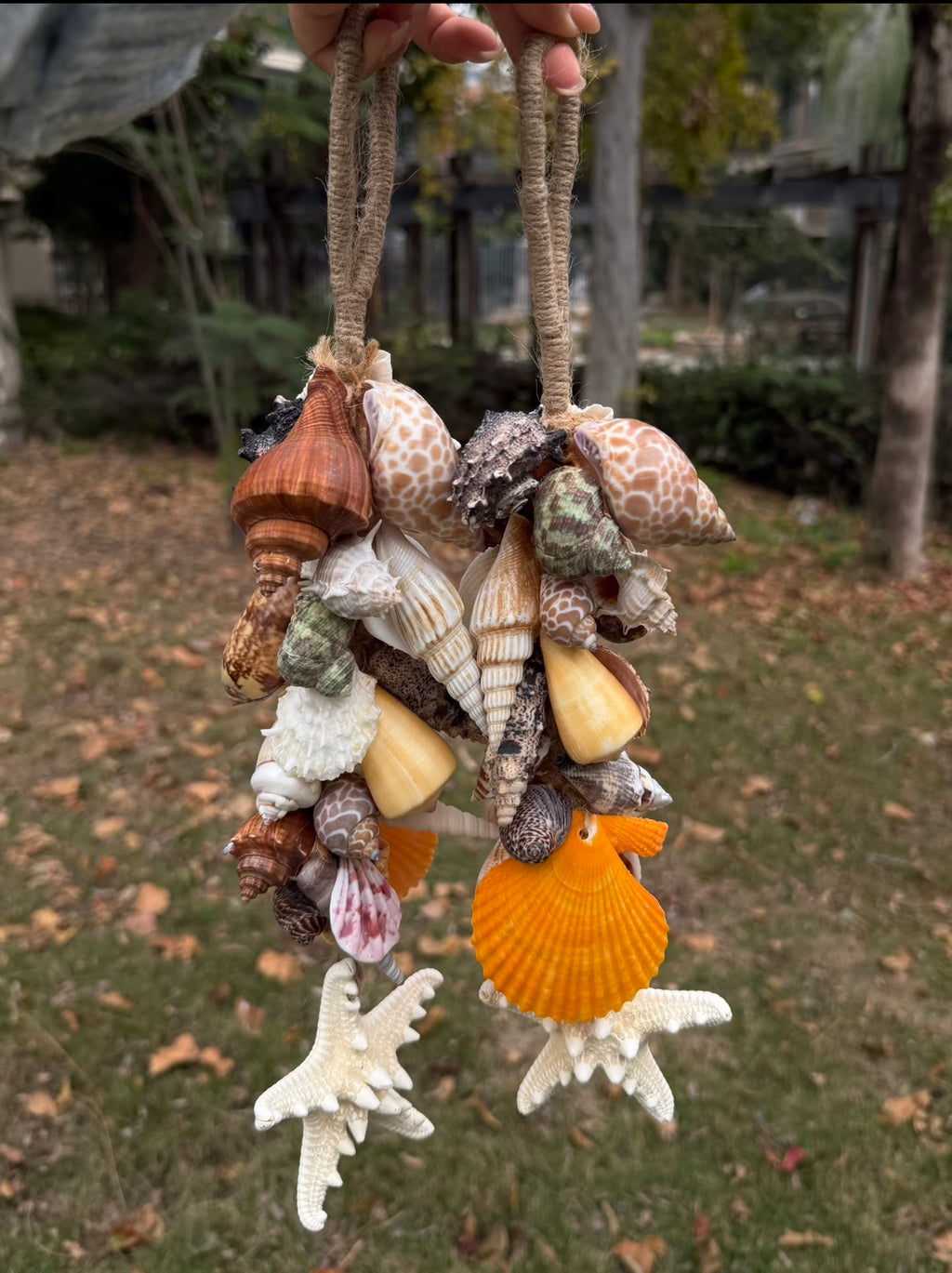 Ocean Bloom Shell Wind Chime