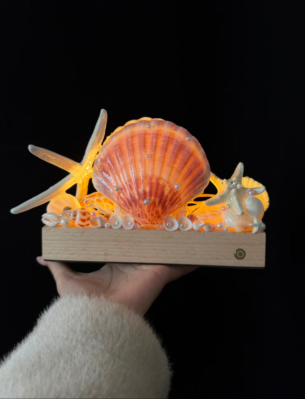 Pink Tide Seashell Night Light | Handmade Coastal Table Lamp