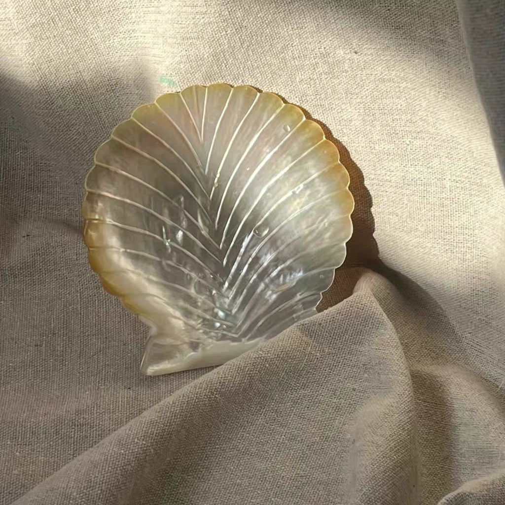 Shell Bloom Dish – Natural Yellow Butterfly Shell Tray