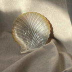 Shell Bloom Dish – Natural Yellow Butterfly Shell Tray