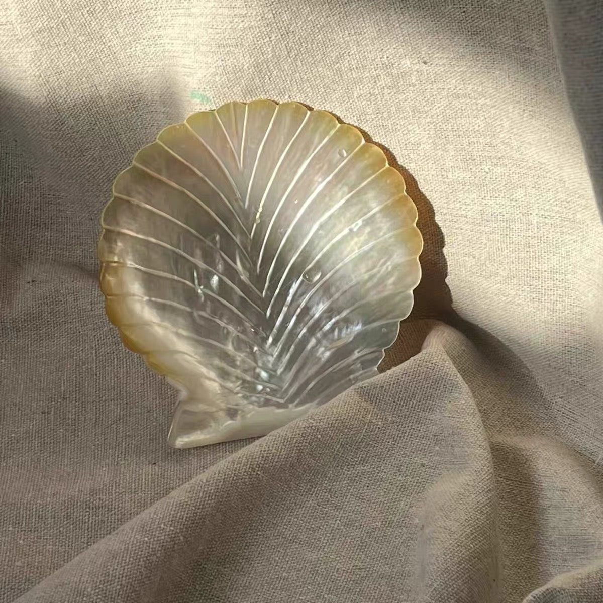 Shell Bloom Dish – Natural Yellow Butterfly Shell Tray