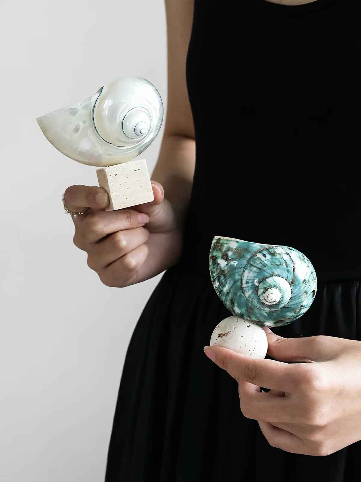 Ocean Relic Shell Sculpture| Natural Shell Jewelry Holder