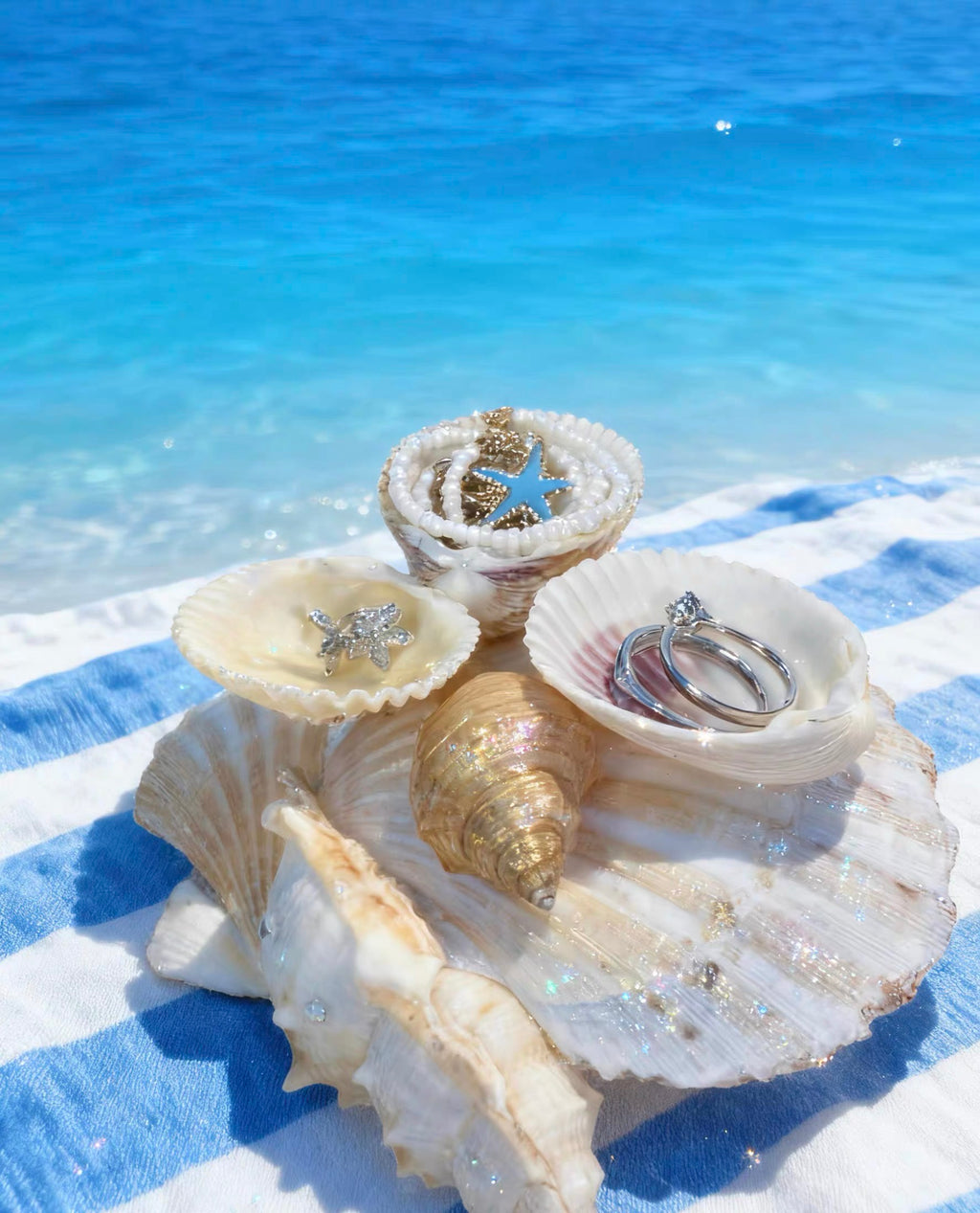 Ocean Haven Shell Organizer