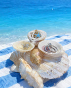 Ocean Haven Shell Organizer