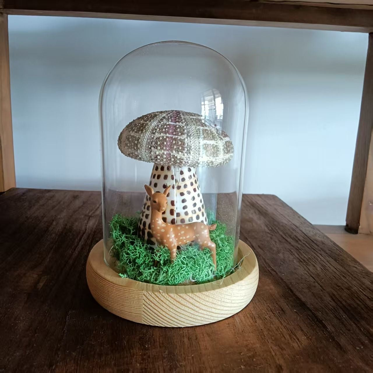 Handcrafted Natural Sea Urchin Shell Night Lights