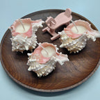 CoralGlow Conch Candle