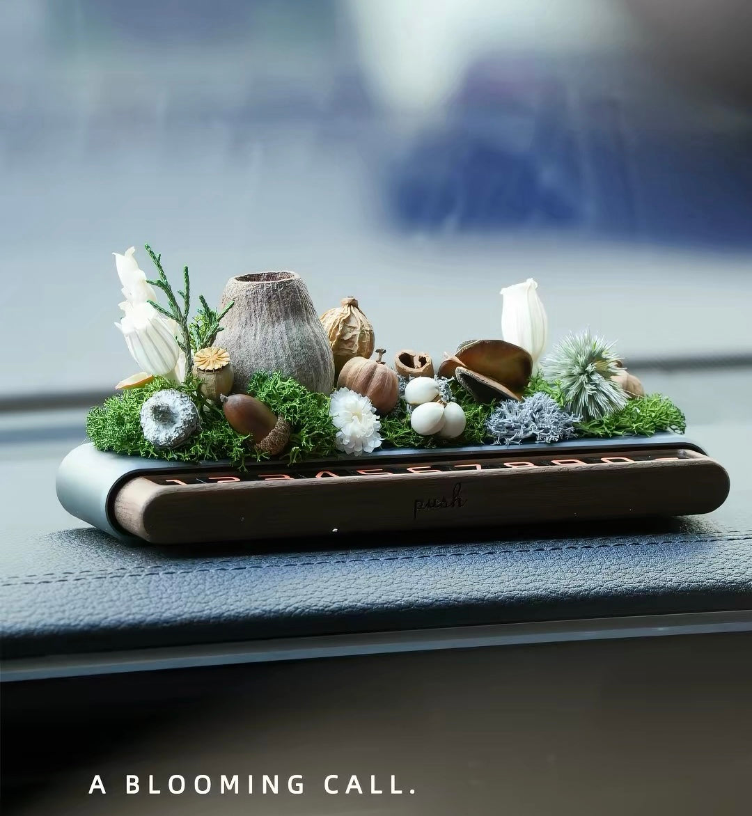 Everlasting Bloom Natural Seed Car Phone Number Plate
