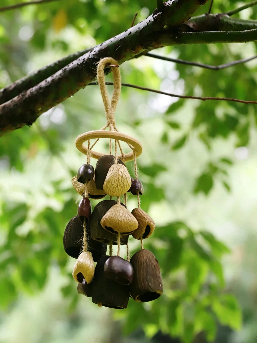 Cloudlight Mixed Seed Shell Wind Chime