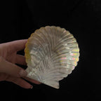 Shell Bloom Dish – Natural Yellow Butterfly Shell Tray
