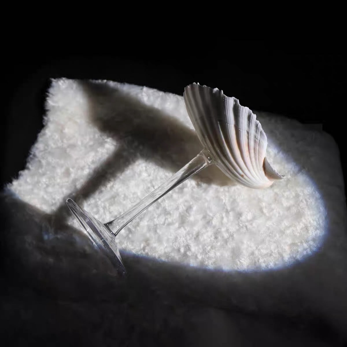 Natural Seashell Wine Cup with Decorative Ribbon