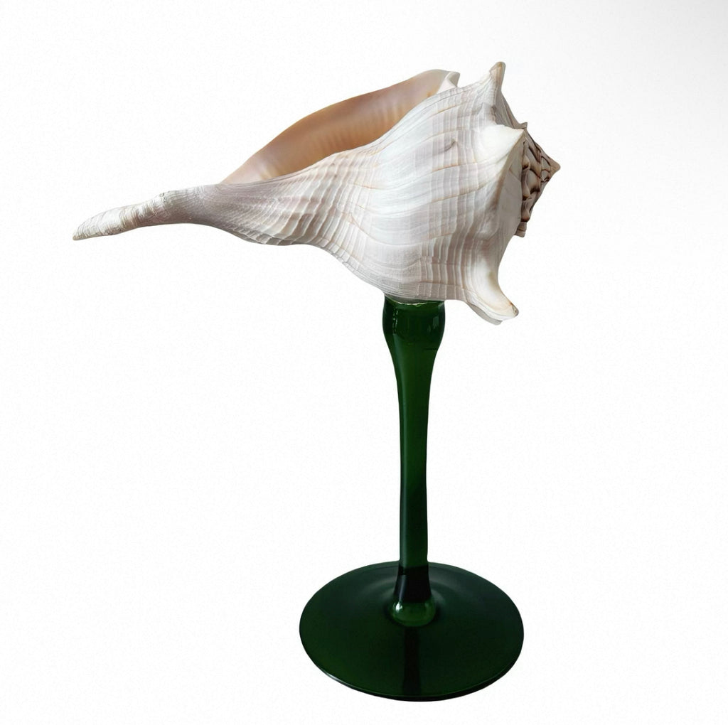 Natural Seashell Goblet ＆ Candle Holder