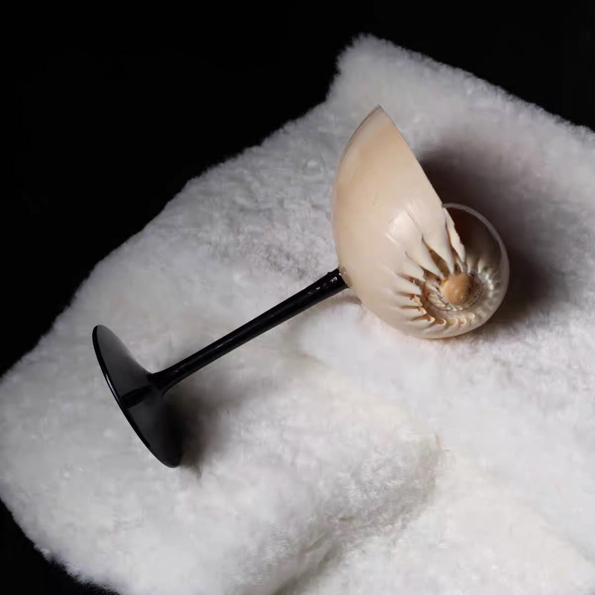 Natural Seashell Wine Cup with Decorative Ribbon