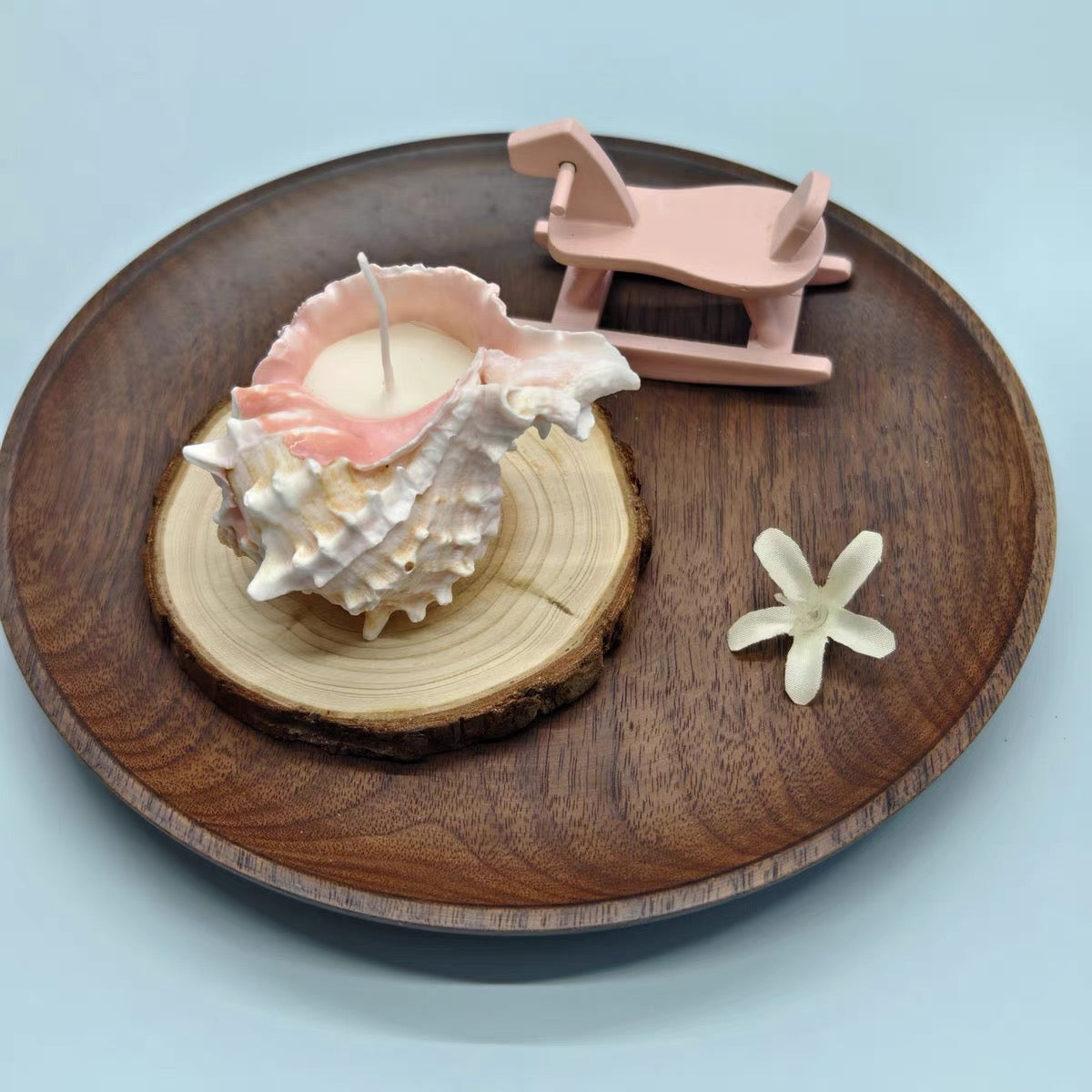 CoralGlow Conch Candle