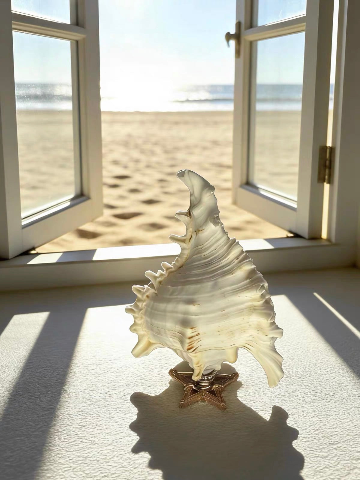 Sea Crown Conch Sculpture