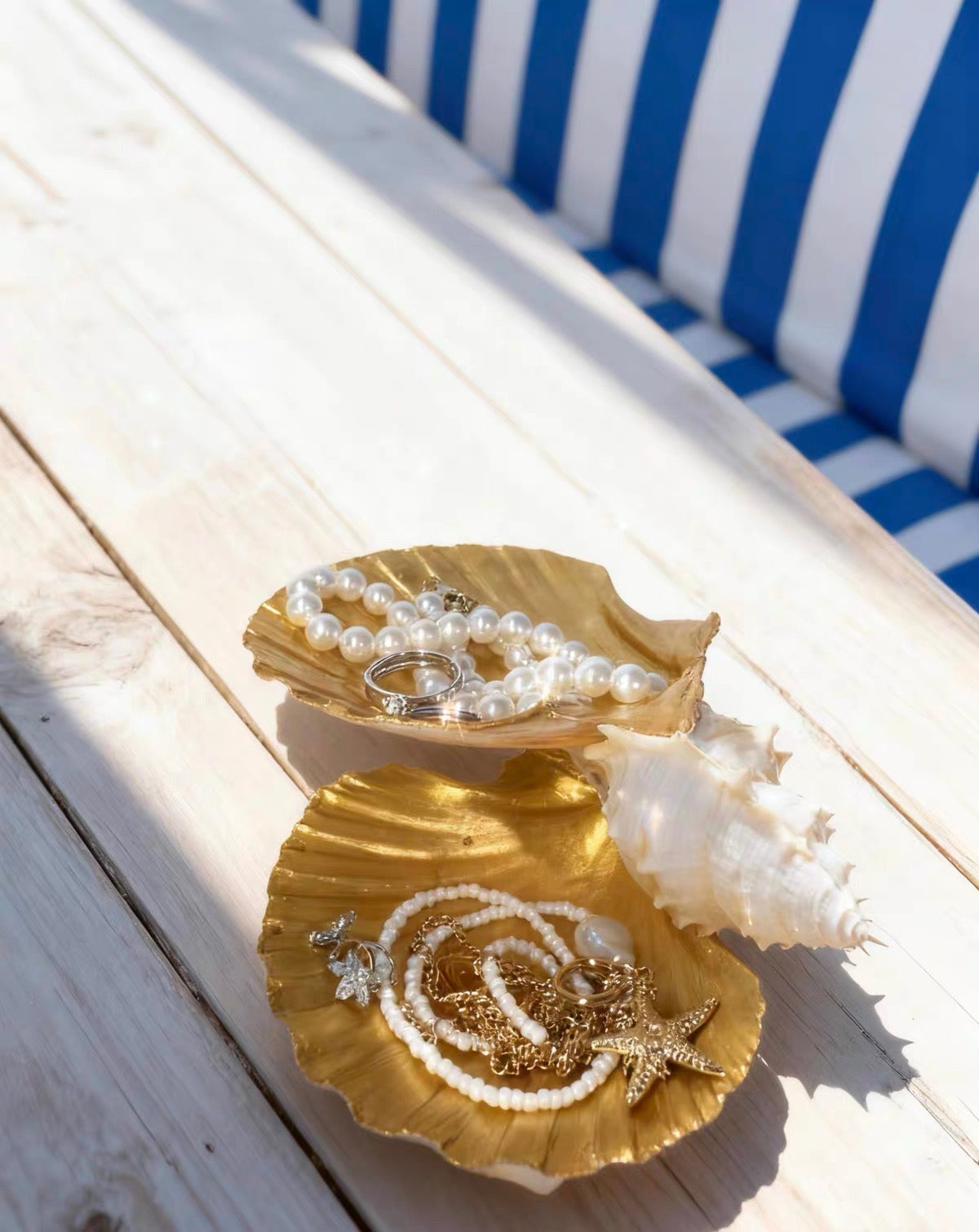 Ocean Haven Shell Organizer