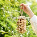 Chacha Seed Shell Hand Bell – Golden Spark