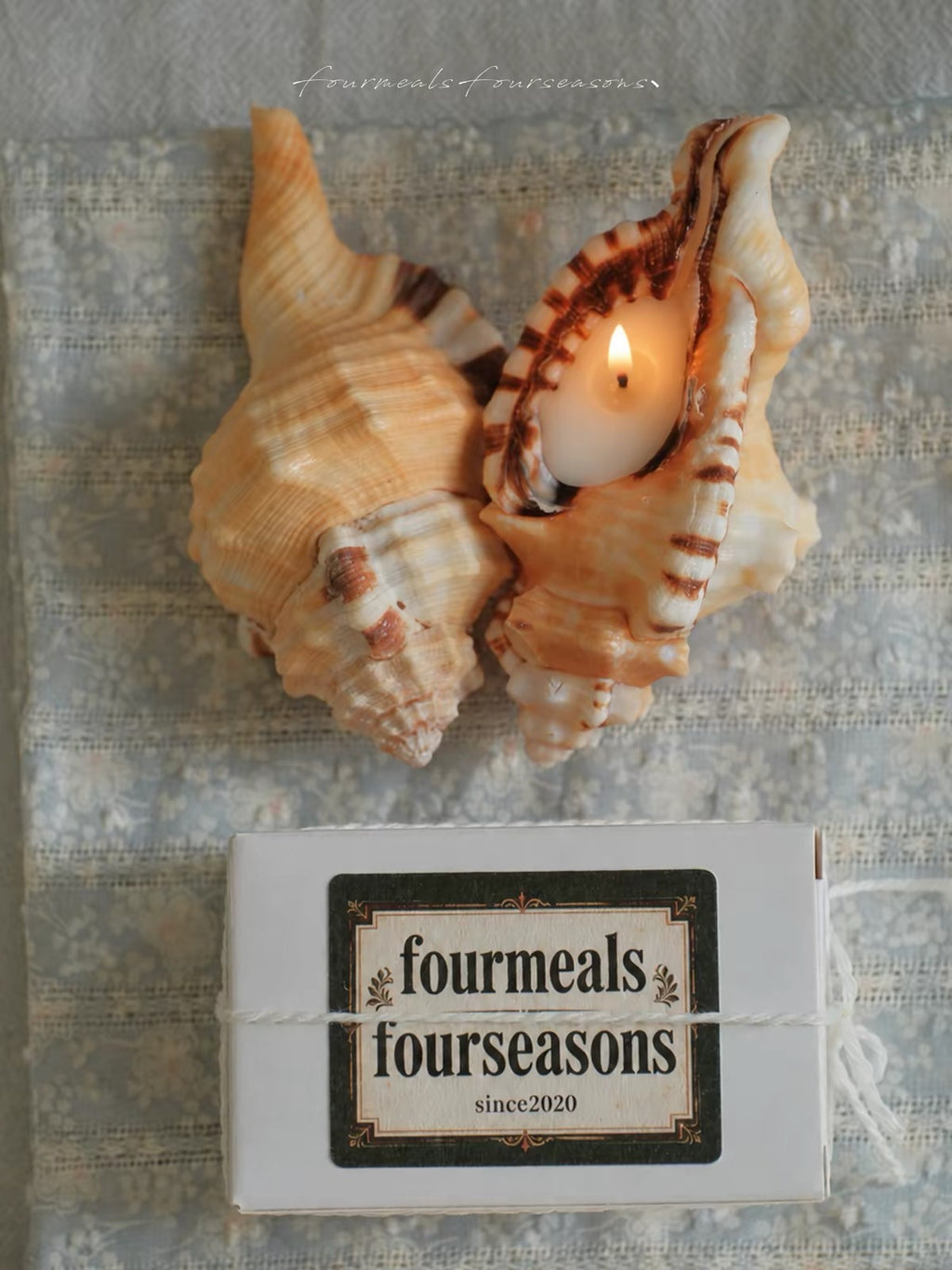 Elephant Trunk Conch Shell Candle – Reusable Gift