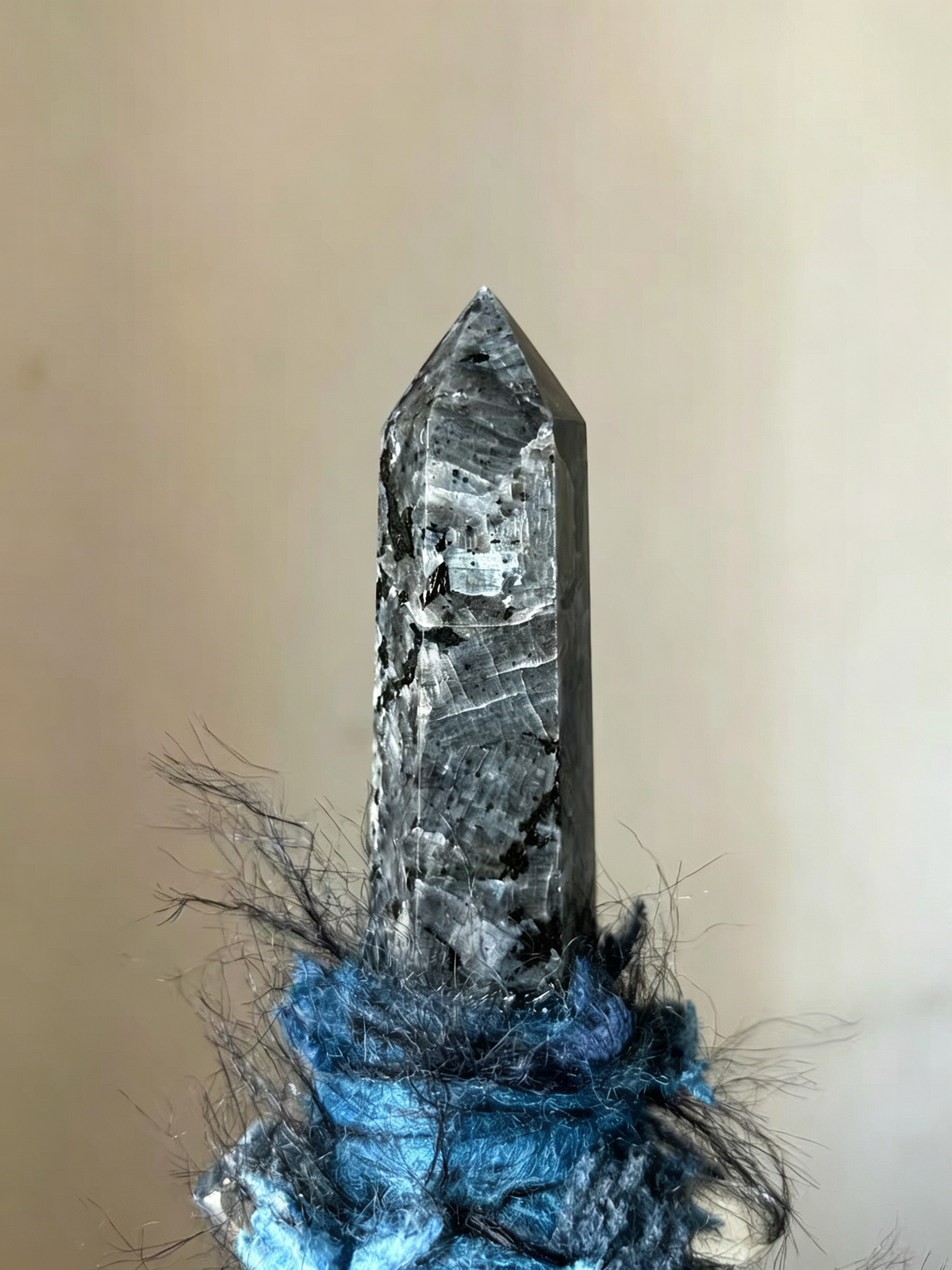 A Bird’s Shadow Witch Broom