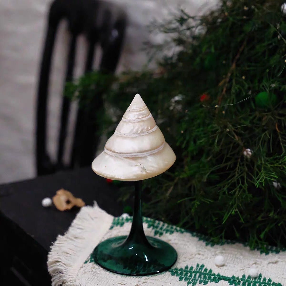 Natural Seashell Goblet ＆ Candle Holder