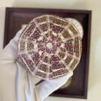 Sea Halo Urchin Shell Set