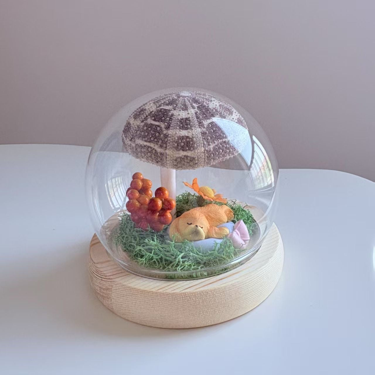Handcrafted Natural Sea Urchin Shell Night Lights
