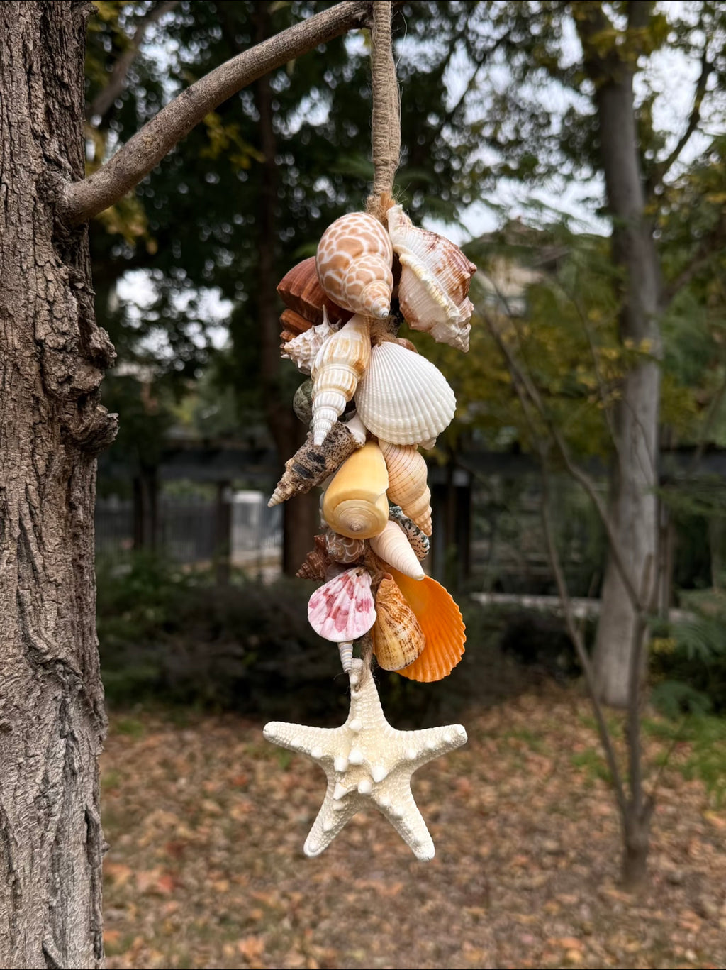 Ocean Bloom Shell Wind Chime