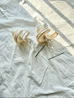 Shell Slide Jewelry Stand – Coastal Seashell Display