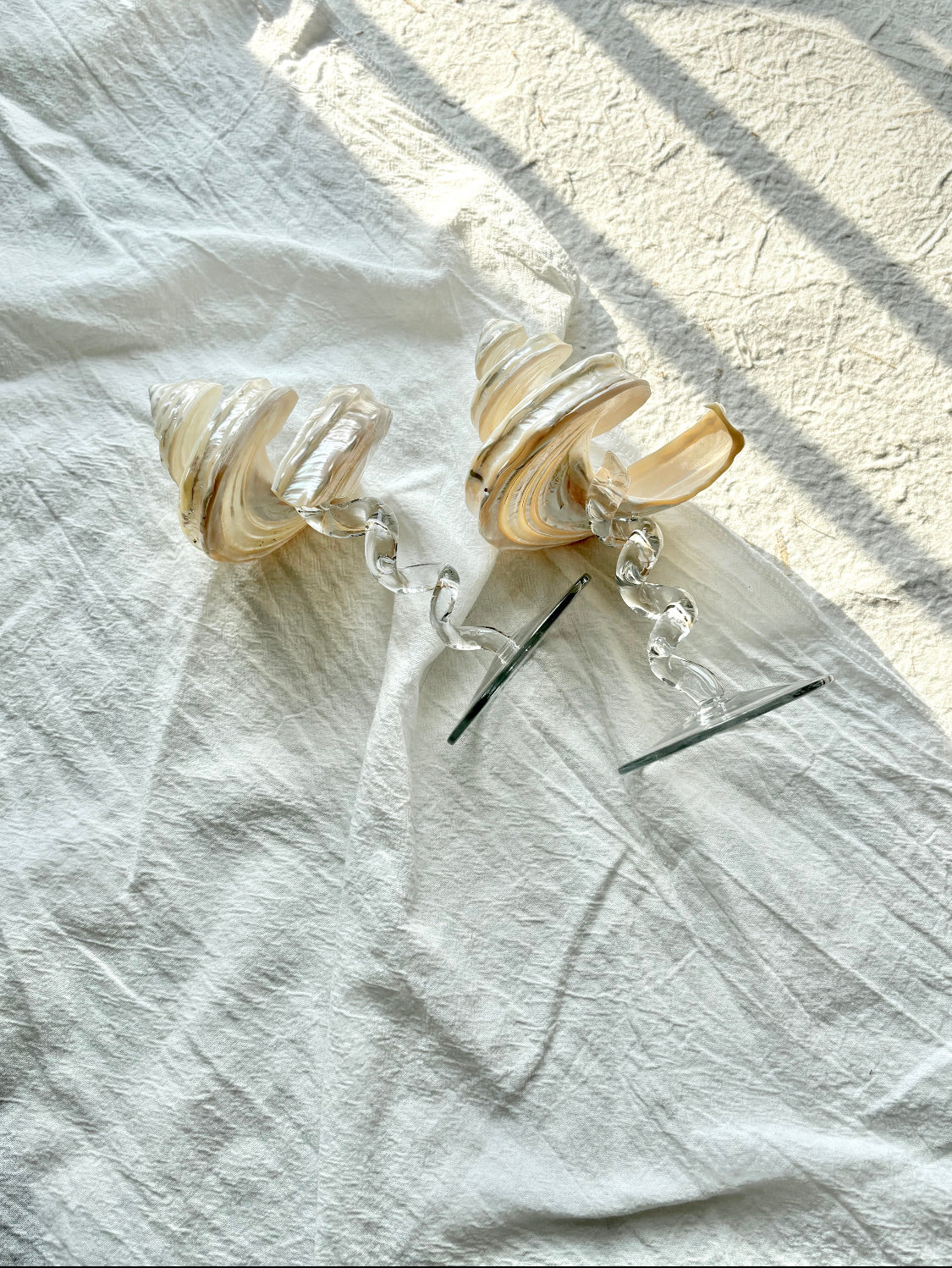 Shell Slide Jewelry Stand – Coastal Seashell Display