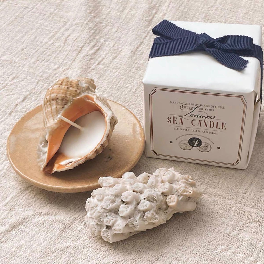 Secret Garden Seashell Soy Candle