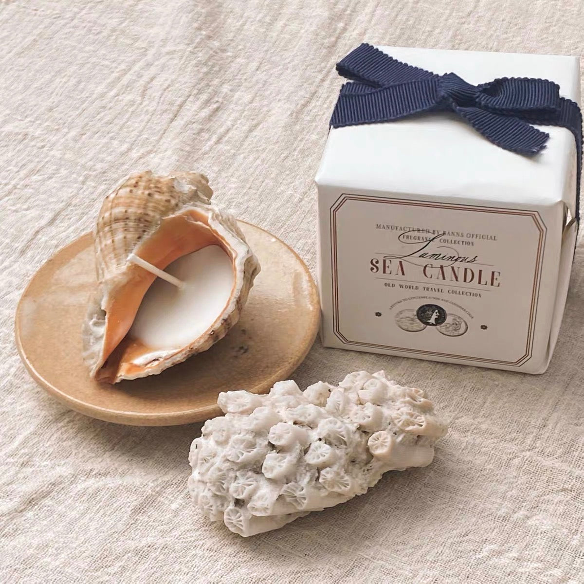 Secret Garden Seashell Soy Candle