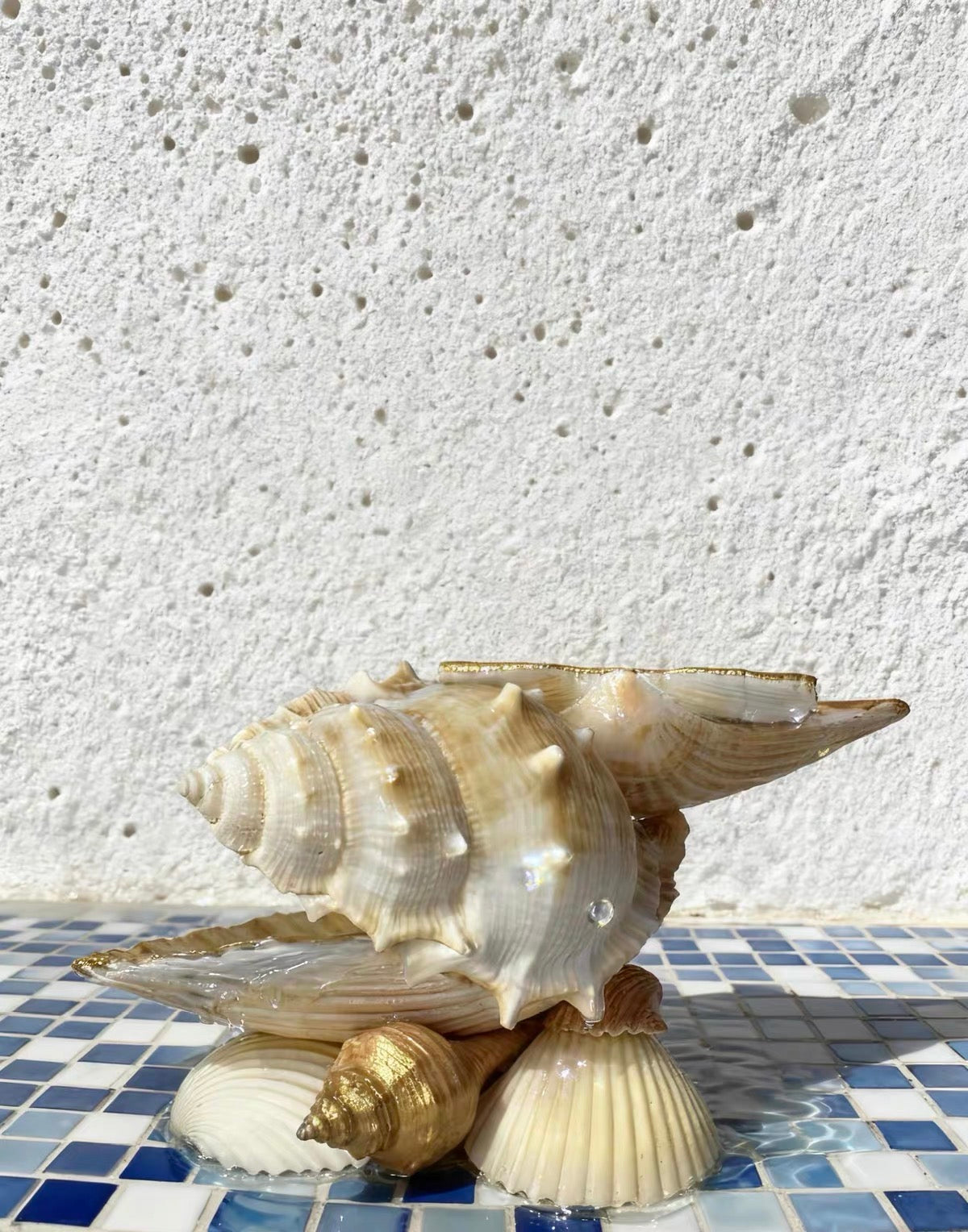 Ocean Haven Shell Organizer