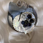 Shell Bloom Dish – Natural Yellow Butterfly Shell Tray