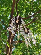 Ocean Whisper Capiz Shell Wind Chime| Handmade Coconut Shell Hanging Decor